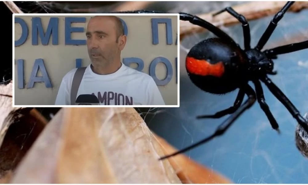 Πως περιγράφει ο πατέρας του βρέφους τις δραματικές στιγμές του τσιμπήματος από τη "Μαύρη χήρα"